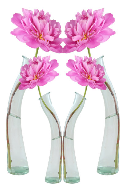 四人组图片下载