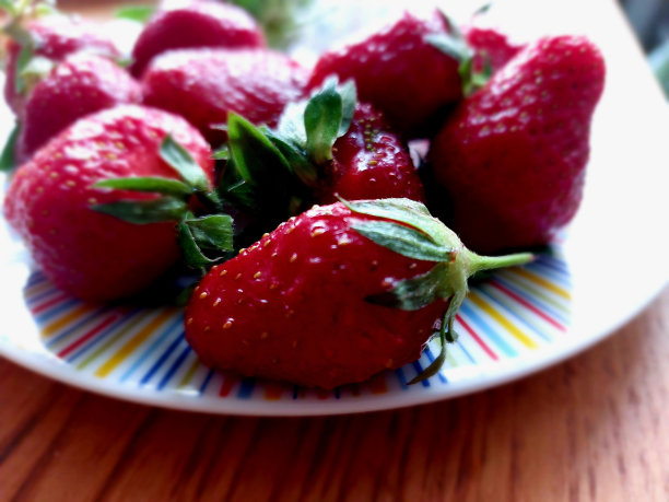 比利时巧克力与可可和坚果，糖果近距离食物照片图片下载