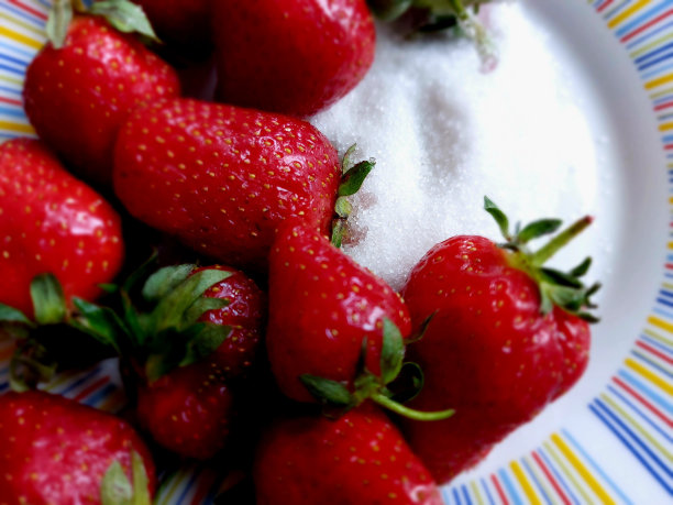 比利时巧克力与可可和坚果，糖果近距离食物照片图片下载