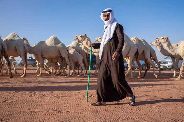 沙特阿拉伯的珠宝:2018年1月，在利雅得附近的利玛，阿卜杜勒阿齐兹国王骆驼节。图片下载