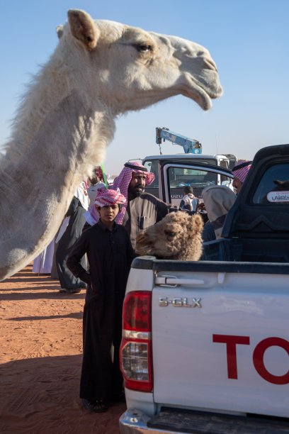沙特阿拉伯的珠宝:2018年1月，在利雅得附近的利玛，阿卜杜勒阿齐兹国王骆驼节。图片下载
