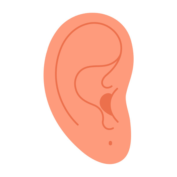 耳朵上有一个穿孔，耳垂穿孔。不戴耳环的耳朵是时髦的扁平款式。图片下载