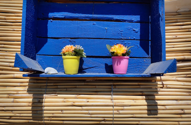 挂在一个蓝色的杂货箱里的两盆花图片下载