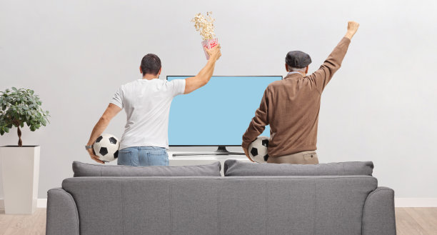 一对父子在电视机前观看足球比赛并欢呼的背影图片下载