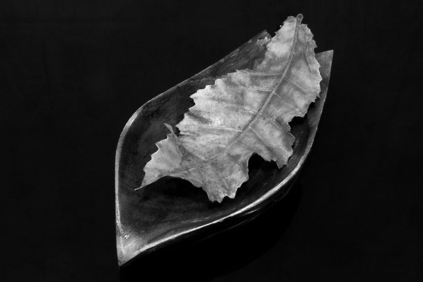 带秋叶木船的黑白演示背景照片图片下载