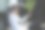 使用电脑的现代办公室商人。成功的拉丁IT软件工程师在办公桌前用笔记本电脑工作的画像。拥有专业人士的多元化工作场所。正面照片图片下载