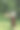 女艺术家在公园里画画。正念，艺术疗法，创意概念。在大自然中进行空气绘画的过程。一系列的照片展示了一幅画的一步一步的创作图片下载