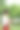 女艺术家在公园里画画。正念，艺术疗法，创意概念。在大自然中进行空气绘画的过程。一系列的照片展示了一幅画的一步一步的创作图片下载