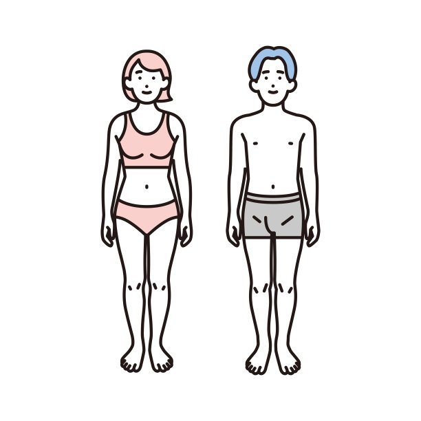 插图的整个身体的男人和女人在内衣图片下载