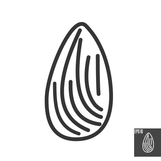 杏仁线图标与可编辑的笔画。在白色背景上孤立的坚果仁象形图。用于网页，符号设计和移动应用。健康食品。矢量插图在图形风格图片下载