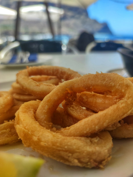 罗马式的鱿鱼图片下载