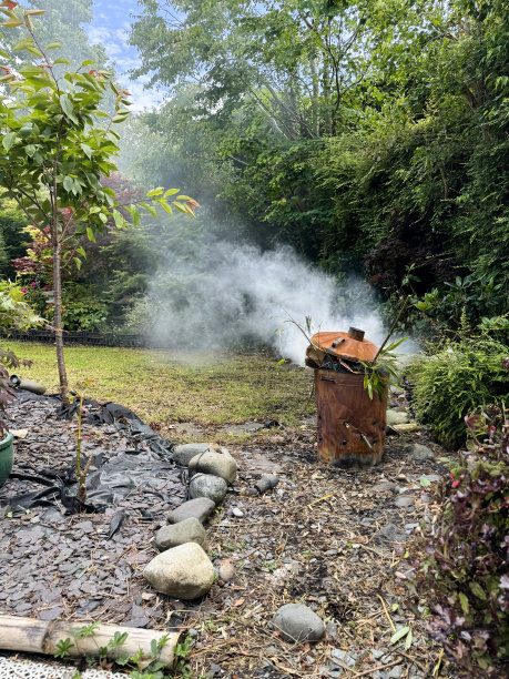图片中烟雾缭绕、锈迹斑斑的花园垃圾焚烧炉垃圾桶被草坪、垃圾管理的花园垃圾、篝火的竹子、树篱修剪和植物材料，重点放在前景上图片下载