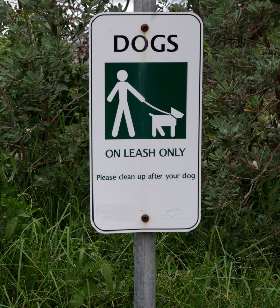 拴着皮带的狗只会签名图片下载