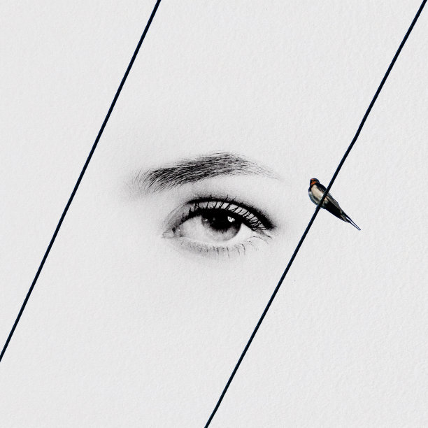 抽象的眼睛与鸟艺术品拼贴图片下载