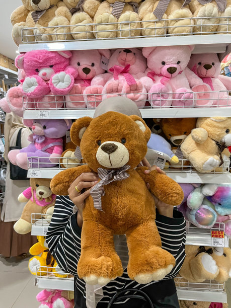 泰迪熊图片下载