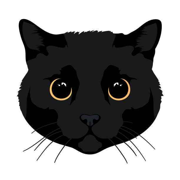猫头孤立在白色背景上。猫的脸。黑猫，大大的黄眼睛。现实的风格。贴纸，t恤，马克杯，设计图片下载