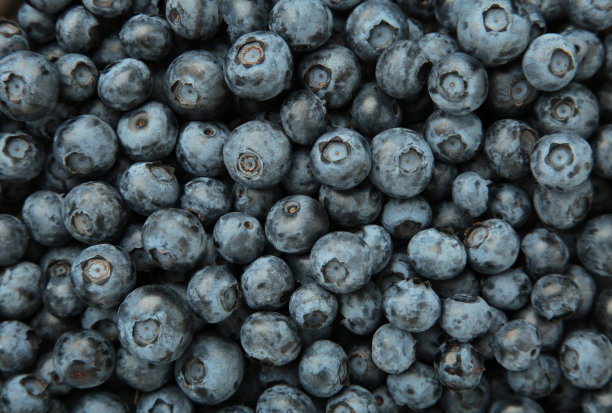 美味新鲜的蓝莓背景，俯视图。宏观照片图片下载