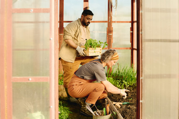 农民们一起补种幼苗图片下载