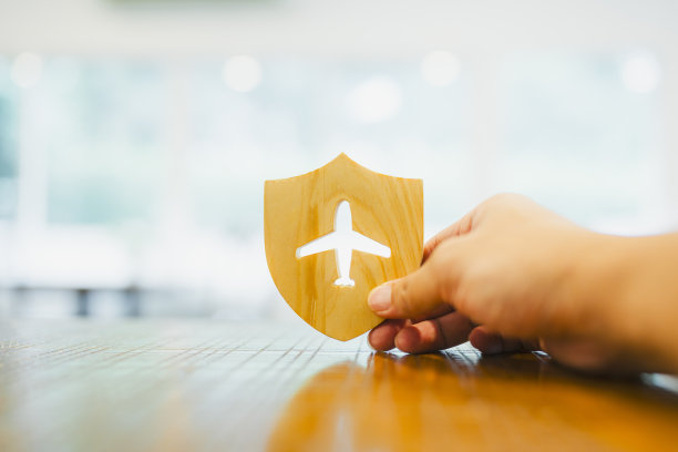 屏蔽保护图标与平面图标，安全保护。旅行保险的概念，包括医疗费用、紧急医疗后送、旅行延误、旅行中断和行李丢失。图片下载