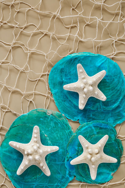 海洋结构。白色的干海星在蓝色的珍珠母上，渔网在米色的背景上。SEA照片壁纸。海洋背景图片下载