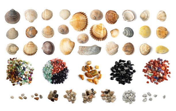 彩色贝壳和彩色鹅卵石收集孤立的白色背景顶视图图片下载