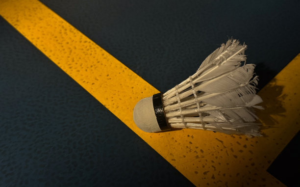 打羽毛球用的羽毛球照片图片下载