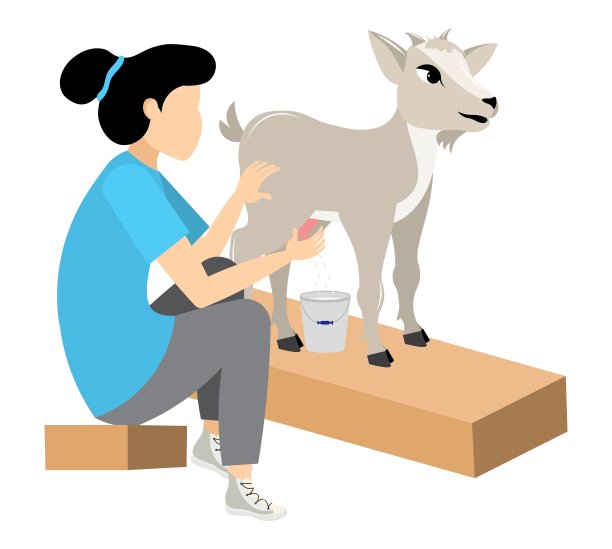 农民在工作。一个女人在给一只灰色的山羊挤出奶。人们在农场工作。畜牧农场场景。孤立在白色背景上。图片下载