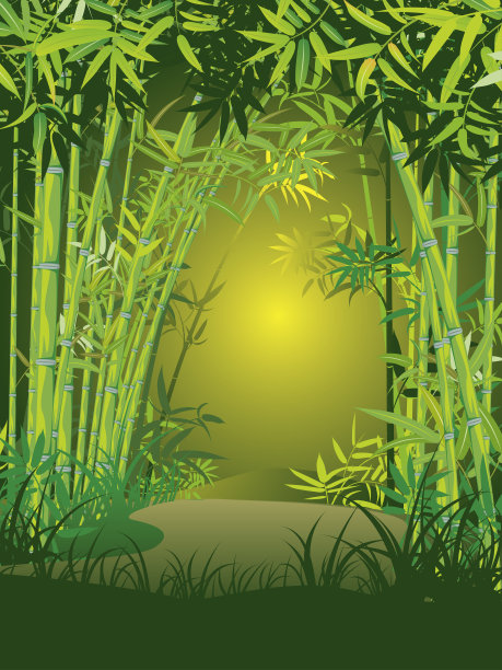竹林景观图片下载