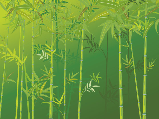 竹林景观图片下载