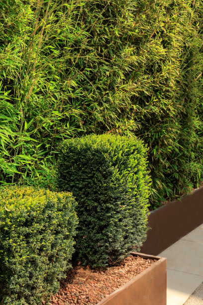 托斯卡纳风格花园中的鲜花和灌木图片下载