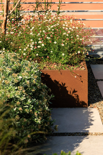 托斯卡纳风格花园中的鲜花和灌木图片下载