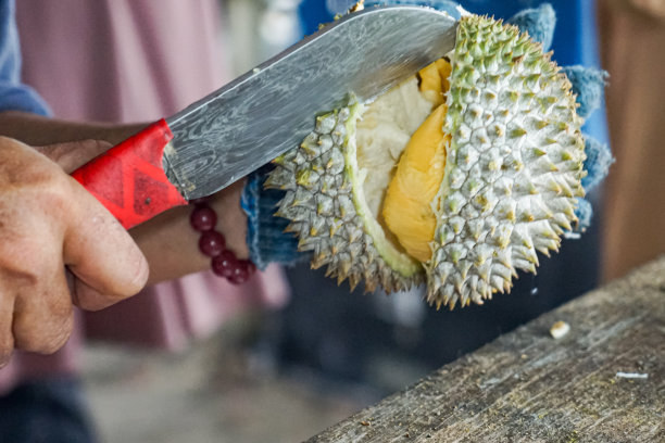 近距离拍摄切开榴莲的过程。图片下载