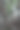 中国上海豫园内的风景。这张照片聚焦在一个覆盖着睡莲叶的小池塘周围的巨大的灰色岩石上。透过树枝可以看到中国传统建筑的屋顶。图片下载