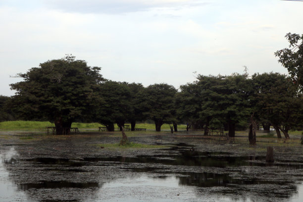 云和天气图片下载