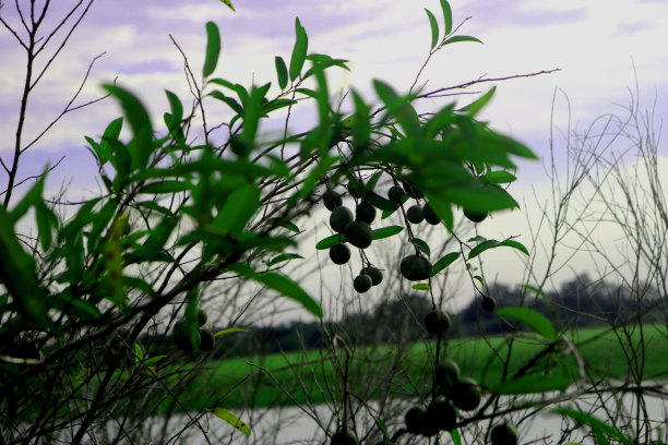 云和天气图片下载