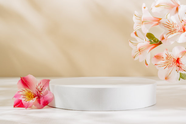 空的圆形讲台，粉红色的花朵和美丽的阳光阴影图片下载