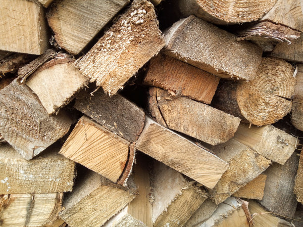 堆叠原木的火木纹理背景。高质量的照片。东方花园蜥蜴树上的蜥蜴照片图片下载