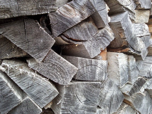 堆叠原木的火木纹理背景。高质量的照片。东方花园蜥蜴树上的蜥蜴照片图片下载