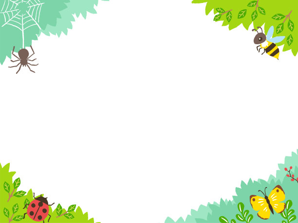 手写简单的框架与昆虫图片下载