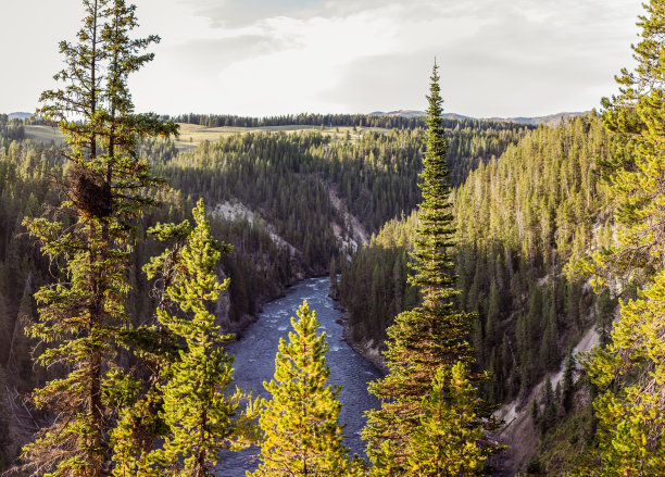 美国阳光明媚的一天，黄石国家公园峡谷中的黄石河广角照片图片下载