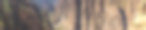 阳光明媚的美国，甘尼逊黑色峡谷的甘尼逊河和岩壁的全景照片图片下载