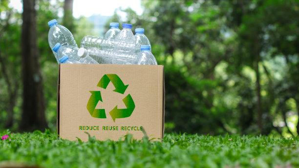 回收的概念。纸板箱上标有减少再利用再利用的绿草，装满塑料水瓶。环境保护。环保活动。废物管理。分类垃圾。图片下载