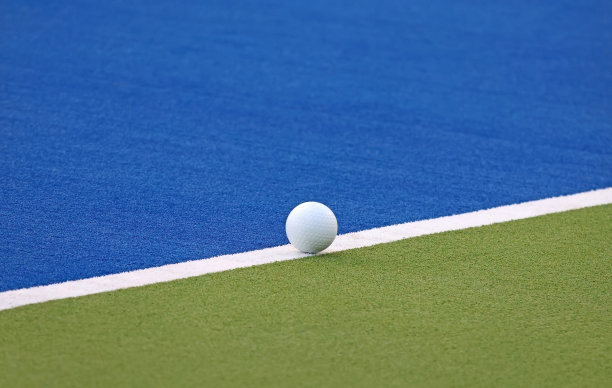 人造草地上的曲棍球图片下载