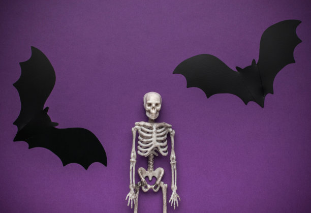 万圣节骨架和蝙蝠装饰在紫色的背景图片下载