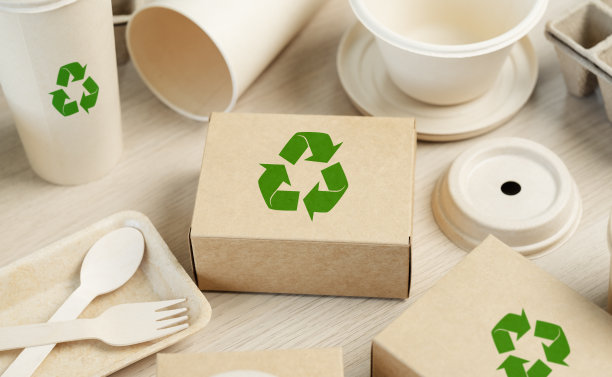 使用环保的纸质餐具和由可生物降解材料制成的包装。一套环保食品包装与回收符号表白色背景。图片下载