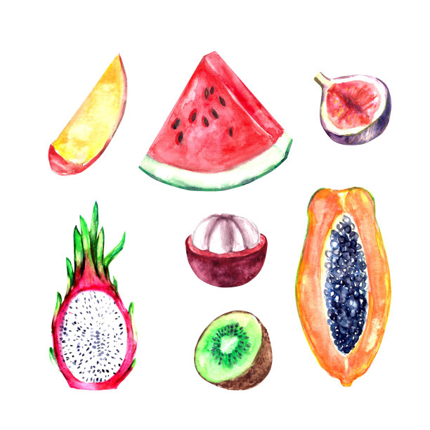 手绘水彩芒果，西瓜，无花果，猕猴桃，山竹，木瓜，火龙果半切切片水果插图图片下载