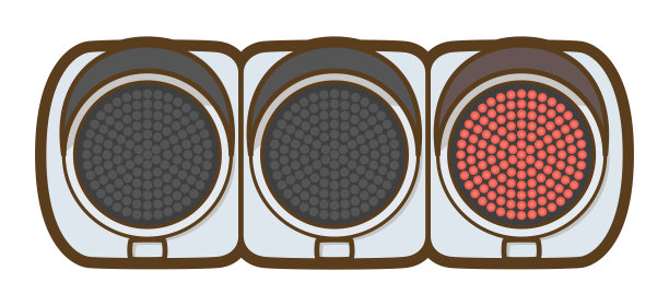 红色LED交通灯。公共财产。图片下载