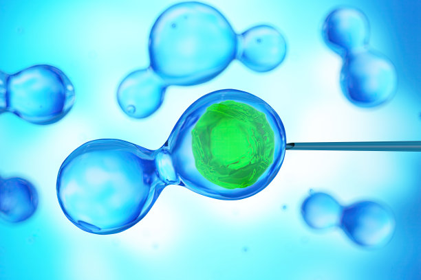 人工授精过程。激光针注射细胞图片下载