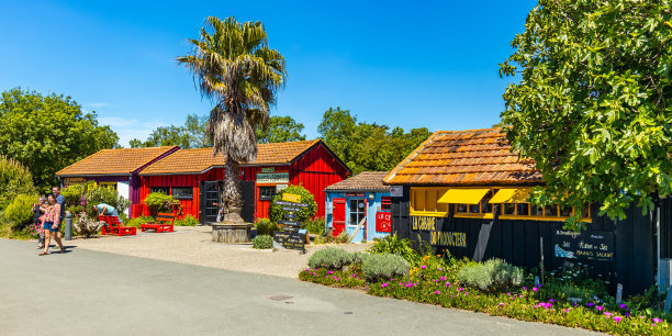 在法国奥尔姆萨隆岛上的ch<s:1>多奥-德-奥尔姆萨隆港，牡蛎养殖者的小屋图片下载