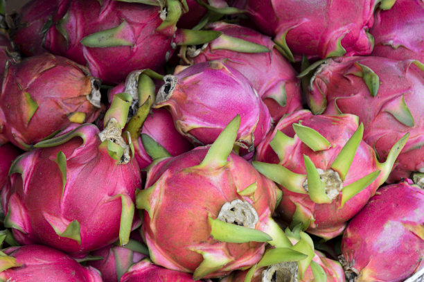 火龙果非常受欢迎。在南亚图片下载